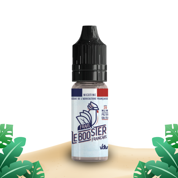 Booster Français Frais 10ml 20mg – VDLV