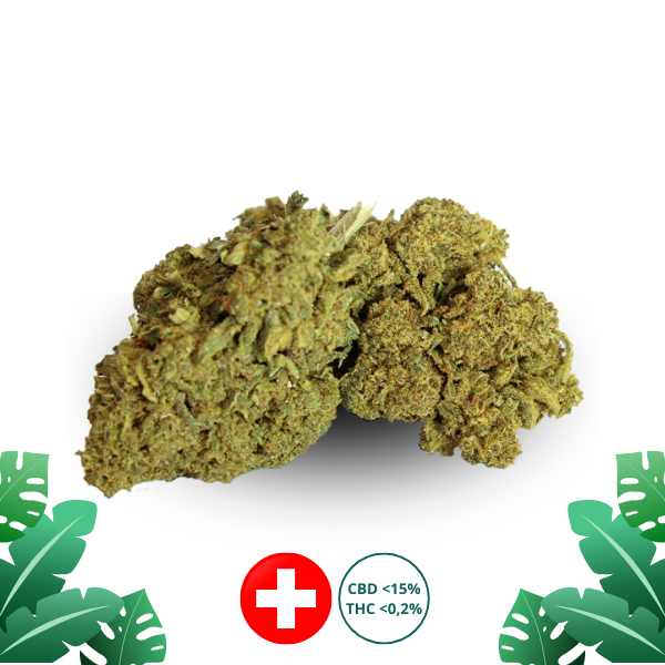 Bruce Banner