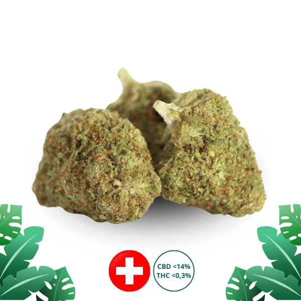 Lemon OG