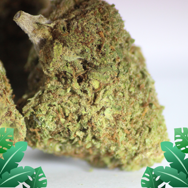 Lemon OG